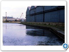 135 first building 1981