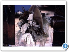 118 BCN cruising 1982